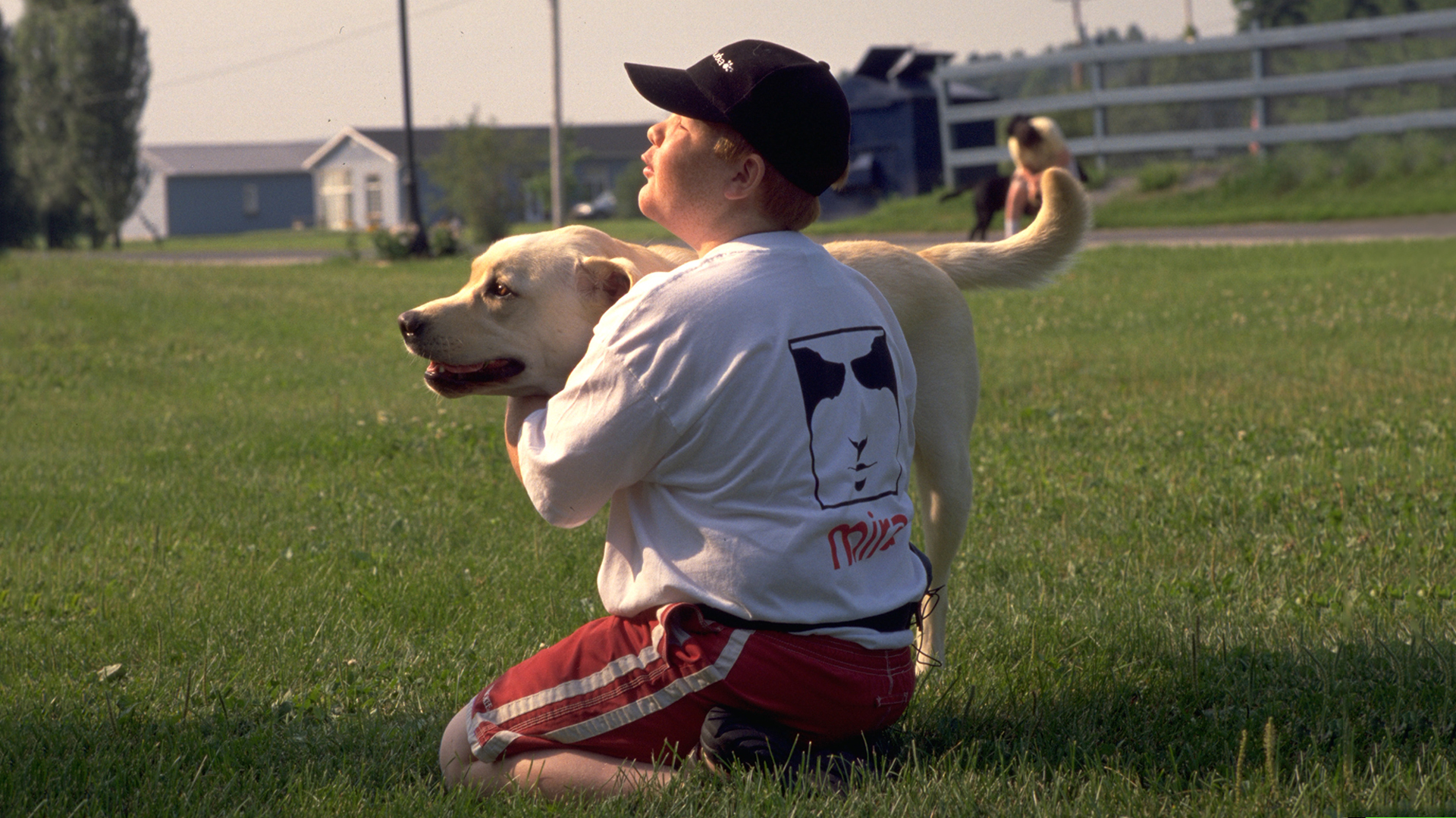 Dogs With Jobs E29 Stan, Fudge and Rocky Knowledge.ca